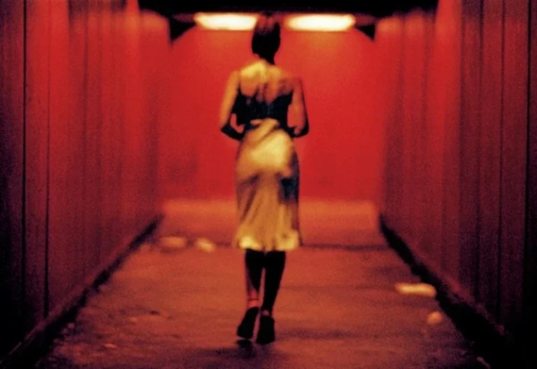 New Extremity - Irreversible (2002) by Gaspar Noe