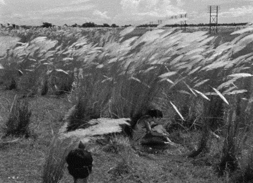 GIF from Pather Panchali (1955) by Satyajit Ray