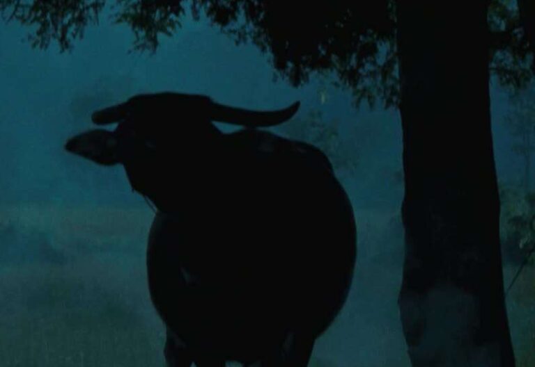 Thai New Wave - Uncle Boonmee Who Can Recall His Past Lives (2010) by Apichatpong Weerasethakul