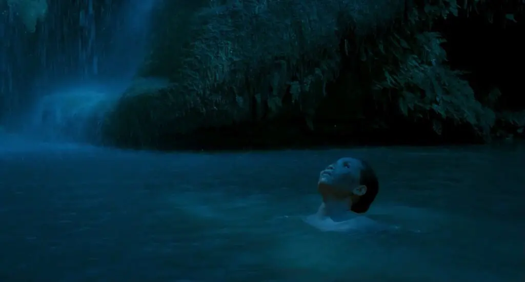 Uncle Boonmee Who Can Recall His Past Lives (2010) by Apichatpong Weerasethakul