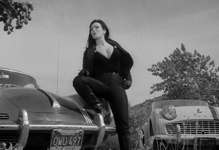 Exploitation Films - Faster, Pussycat! Kill! Kill! (1965) by Russ Meyer - Main