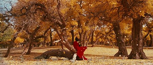 Hero (2002) by Zhang Yimou