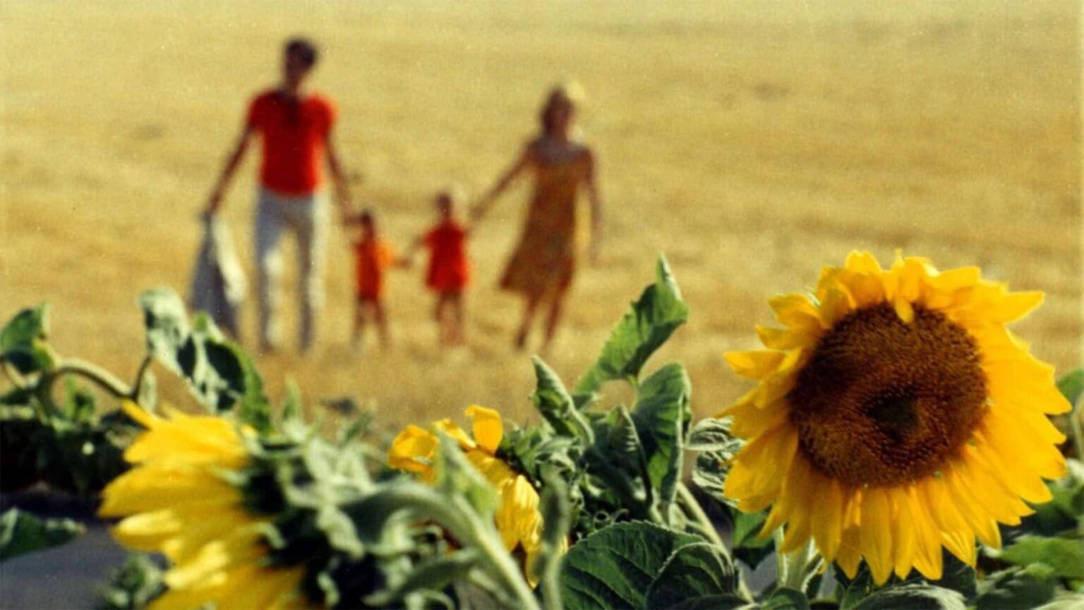 Le Bonheur (1965) by Agnes Varda