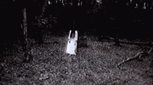 The Ring (1998) by Hideo Nakata
