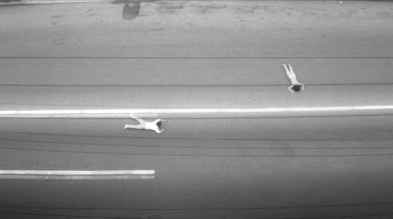 Go, Go Second Time Virgin (1969) by Kōji Wakamatsu