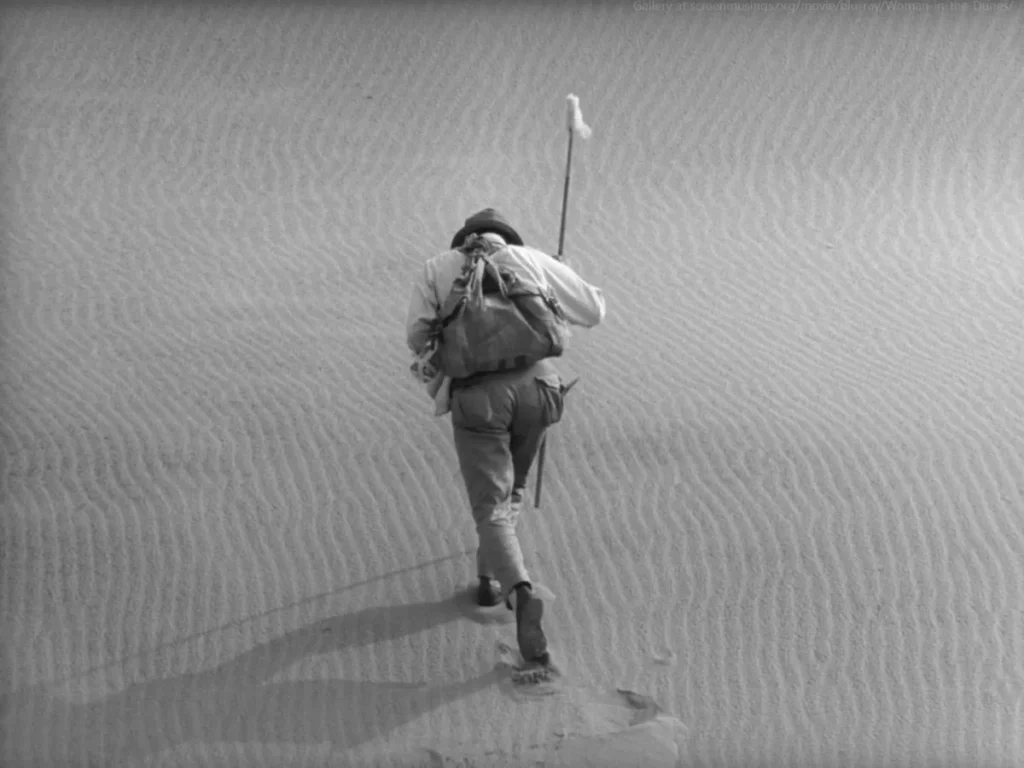 Woman in the Dunes (1964) by Hiroshi Teshigahara