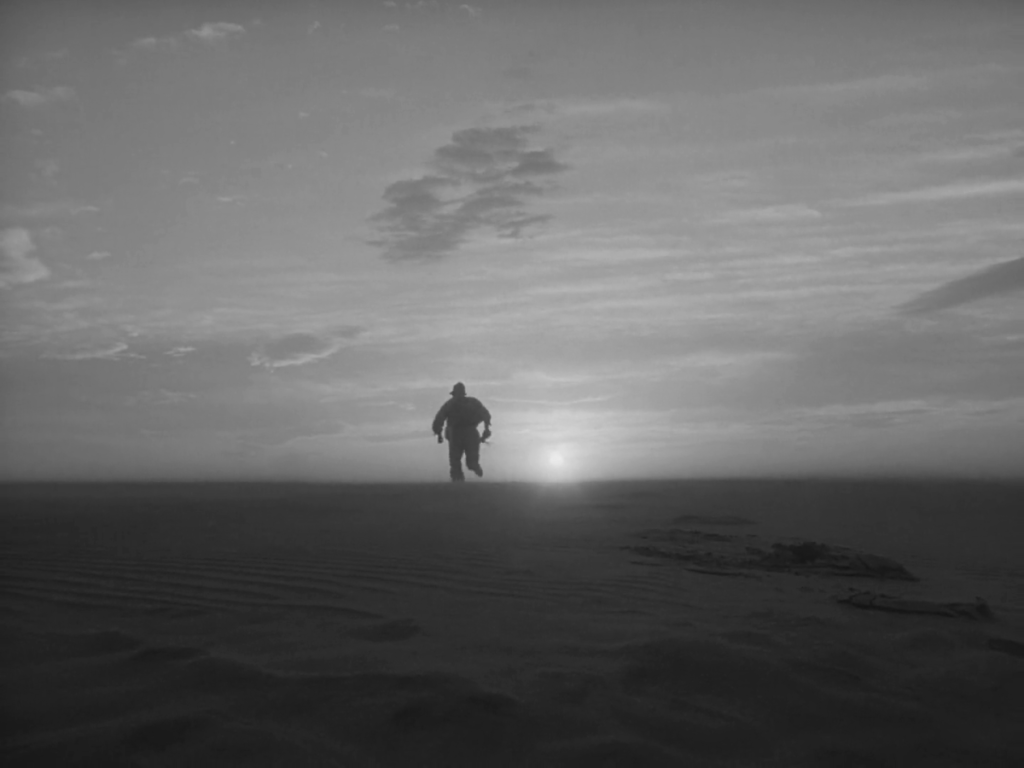 Woman in the Dunes (1964) by Hiroshi Teshigahara