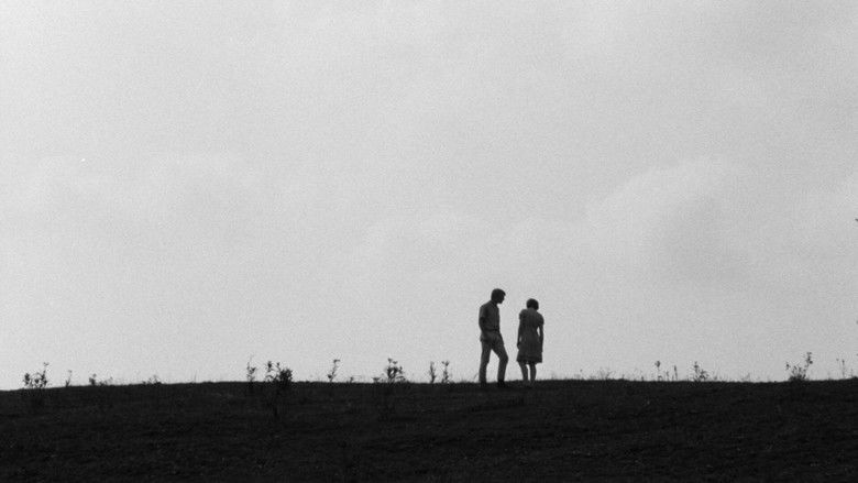 Spring Night, Summer Night (1967) by Joseph L. Anderson